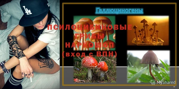 каннабис Баксан